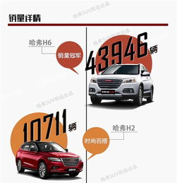 網(wǎng)通社汽車佳木斯安信 專業(yè)銷售服務(wù)，驅(qū)動龍江出行新體驗(yàn)