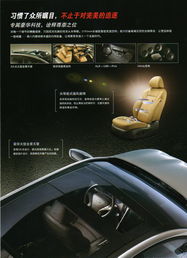 常德星都汽車銷售服務 專業品質，駕享未來